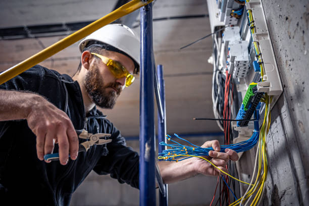 Best Home Electrical Repair  in Fruitport, MI
