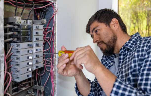 Best Ceiling Fan Installation Electrician  in Fruitport, MI